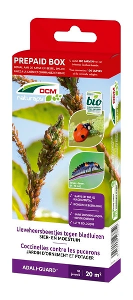Lieveheersbeestjes Larven Tegen Bladluizen (DCM Adali-Guard®) 1 Lieveheersbeestjes Larven Tegen Bladluizen (DCM Adali-Guard®)