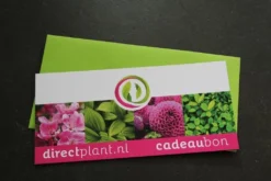 Cadeaubon - Ter Waarde Van 50 Euro